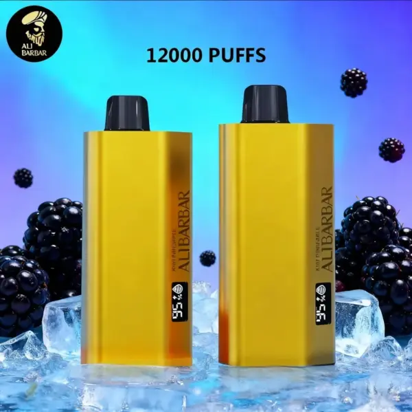Alibarbar TEQ 12000 Puffs-Blackberry Ice
