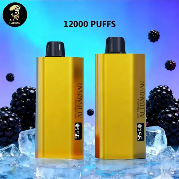 Alibarbar TEQ 12000 Puffs-Blackberry Ice