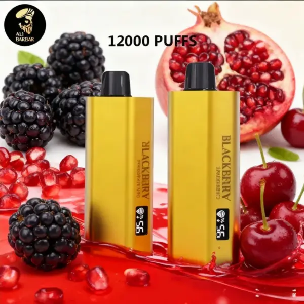 Alibarbar TEQ 12000 Puffs-Blackberry Poegranate Cherry