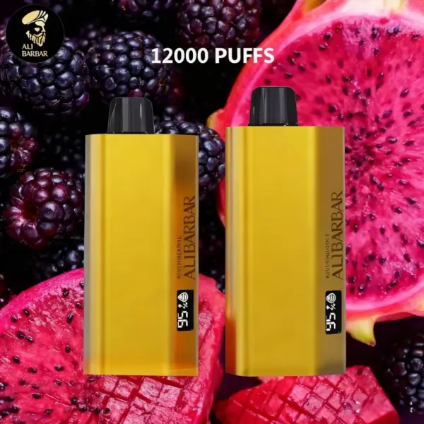 Alibarbar TEQ 12000 Puffs-Blackberry Dragon Fruit
