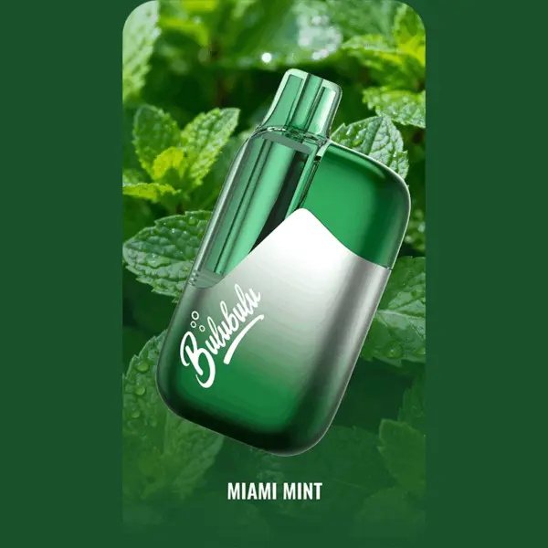 BULUBULU 15K-Miami Mint