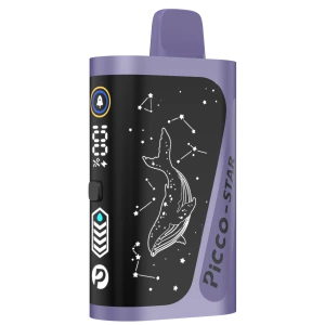PICCO STAR 40000 Puffs–Blueberry Raspberry