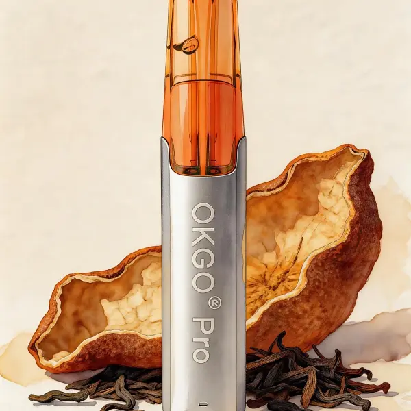 OKGO 6500 Puffs ChenPi Noir-10 Pack