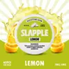Slapple Nicotine Gum