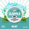 Slapple Nicotine Gum