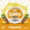 Slapple Nicotine Gum