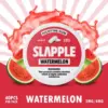 Slapple Nicotine Gum