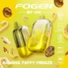 Foger Bit 35K Disposable Vape