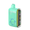 Geek Bar Pulse Disposable Vape 15000 Puffs