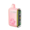 Geek Bar Pulse Disposable Vape 15000 Puffs