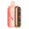 Geek Bar Pulse 2 25K Disposable Vape (5% Nicotine)