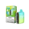 Geek Bar Pulse Disposable Vape 15000 Puffs