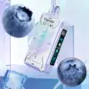 Vapgo VIRAL 50K SWEET-ICE-NIC Control Disposable Vape