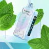 Vapgo VIRAL 50K SWEET-ICE-NIC Control Disposable Vape