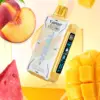 Vapgo VIRAL 50K SWEET-ICE-NIC Control Disposable Vape