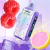 Vapgo VIRAL 50K SWEET-ICE-NIC Control Disposable Vape