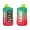 Rodman Playoffs 50K Ice-Nic Control Vape