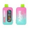 Rodman Playoffs 50K Ice-Nic Control Vape